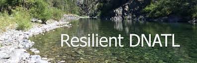 Resilient DNATL